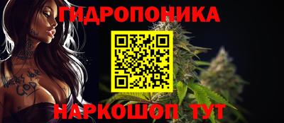 бошки Шебекино