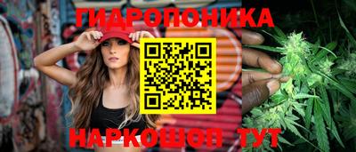 a pvp Шелехов