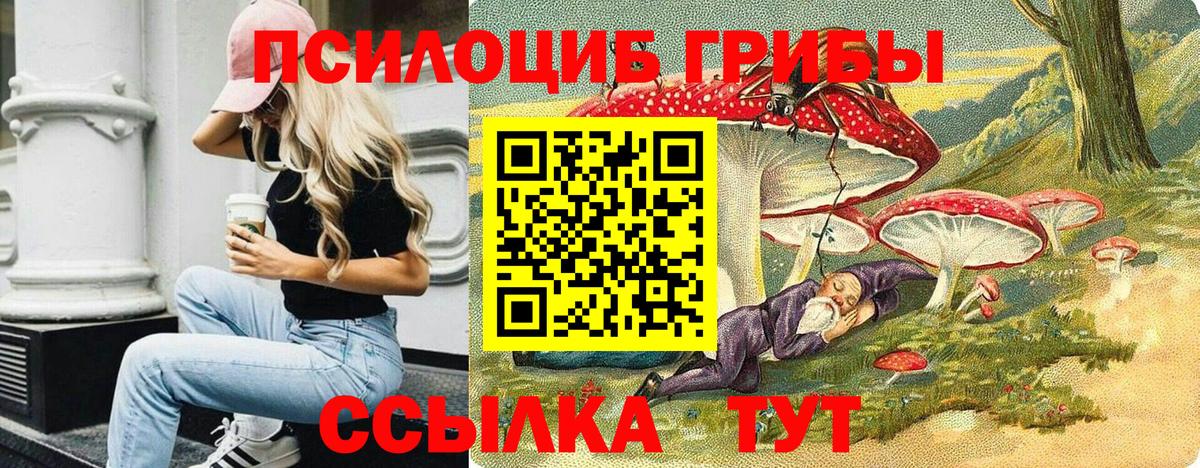 Псилоцибиновые грибы мухоморы  Вход с VPN  Алексин 
