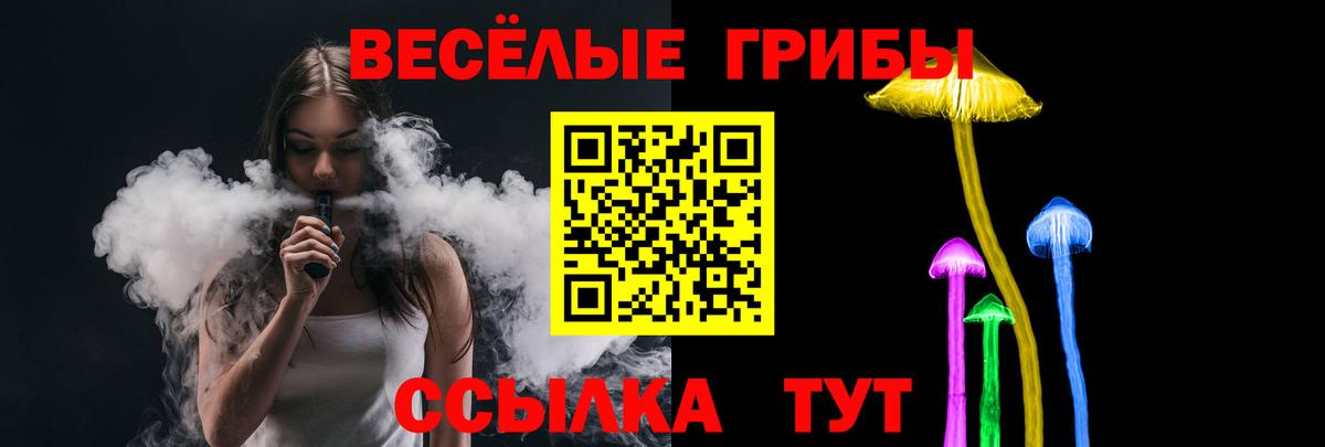Псилоцибиновые грибы Psilocybe Алексин